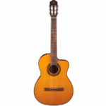 VIOLAO TAKAMINE GC1CE & TP-4T Natural