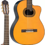 VIOLÃO TAKAMINE GC6CE & TP4T - Imagem 3