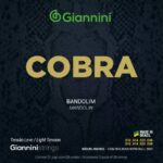 ENC GIANNINI BANDOLIN GESB