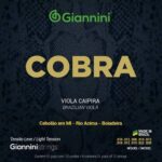 ENC GIANNINI VIOLA GESVNL MI