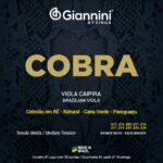ENC GIANNINI VIOLA CV82M RE COBRA MEDIA
