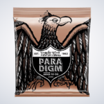 ENC ERNIE BALL ACO 010 PARADIGM PHOSPHORO