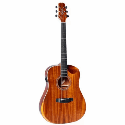 VIOLAO SEIZI AKIRA HALF CUTAWAY KOA 10360327