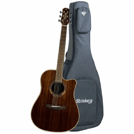 VIOLAO STRINBERG DIAMOND DD1C KOA FOLK