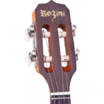 CAVACO ROZINI RC 12 AC.N.LP STUDIO NATURAL - Imagem 2