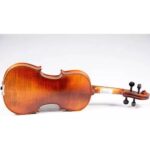 VIOLINO VIVACE 4X4 ST44S STRAUSS FOSCO - Imagem 6