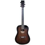 VIOLAO STRINBERG FOREST FS4D TBS FOLK FOSCO