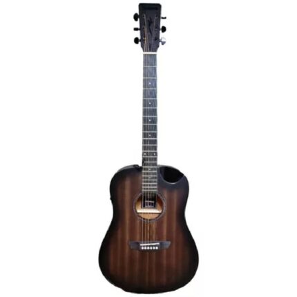 VIOLAO STRINBERG FOREST FS4D TBS FOLK FOSCO