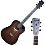 VIOLAO STRINBERG FOREST FS4D TBS FOLK FOSCO - Imagem 2
