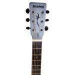 VIOLAO STRINBERG FOREST FS4D TBS FOLK FOSCO - Imagem 6