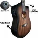 VIOLAO STRINBERG FOREST FS4D TBS FOLK FOSCO - Imagem 7