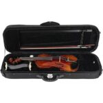 VIOLINO EAGLE VK 544 ENVELHECIDO PROFICIONAL - Imagem 5