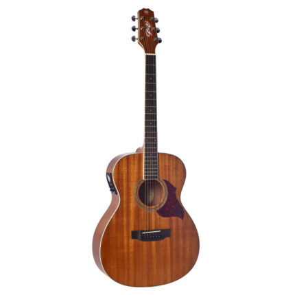VIOLAO ZELMER PROVENANCE COM BAG MAHOGANY SOLIDO 1636