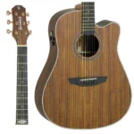VIOLAO STRINBERG SD300C C/BAG KS FOLK FOSCO-13369 - Imagem 2