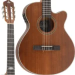 VIOLAO STRINBERG SL200C MGS FLAT NYLON FOSCO - Imagem 2