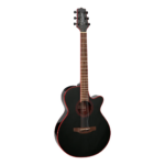 VIOLAO TAKAMINE GF49CE CB TP3G