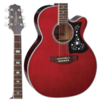 VIOLAO TAKAMINE GN75CE WR TK4OD - Imagem 2