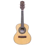CAVACO ROZINI RC09 ATIVO FOSCO IMBUIA 1890