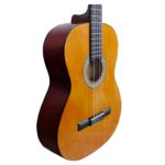 VIOLAO GIANNINI N-14 N NAILON NATURAL 21619 - Imagem 3