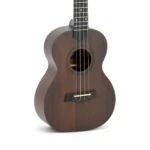 CAVACO ROZINI RC12 STUDIO ACUSTICO FOSCO L PTO 1742 - Imagem 3
