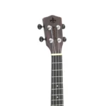 CAVACO ROZINI RC12 STUDIO ACUSTICO FOSCO L PTO 1742 - Imagem 2