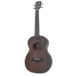 CAVACO ROZINI RC12 STUDIO ACUSTICO FOSCO L PTO 1742