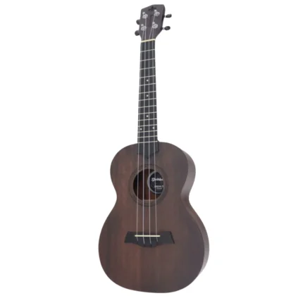 CAVACO ROZINI RC12 STUDIO ACUSTICO FOSCO L PTO 1742