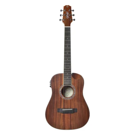 VIOLAO SEIZI AKIRA HALF C/BAG CUTAWAY KOA 10360327