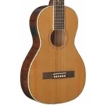 VIOLAO TAGIMA FS 500 C/BAG NT OKUME FLAMED - Imagem 2