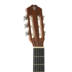 VIOLAO STRINBERG SC200C NS CLASSICO FOSCO 12070 - Imagem 2